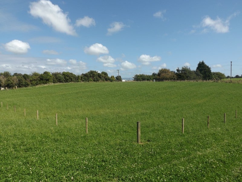 3 Kukutauaki Road, Koputaroa - Carousel 4