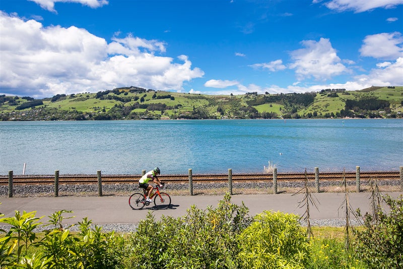 16 Rotoiti Street, Maia, Dunedin - Carousel 20