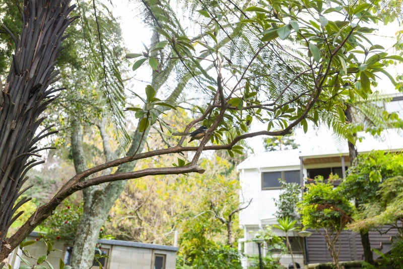 199A Russell Street, Whataupoko, Gisborne - Carousel 50