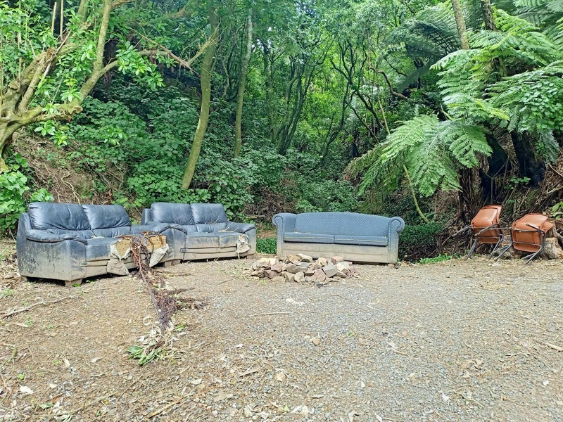 13A Adams Terrace, Aro Valley, Wellington - Carousel 23