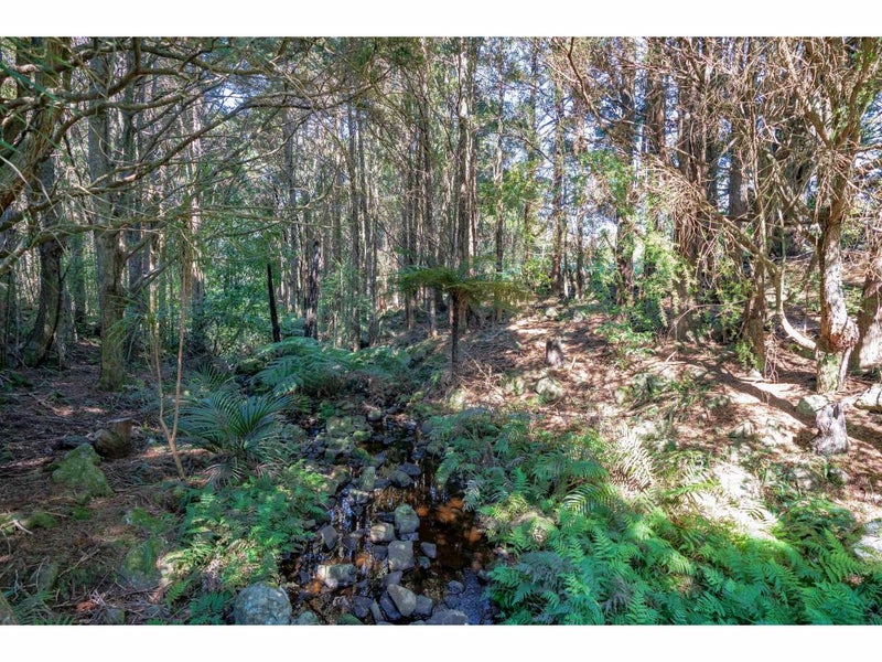 2418C State Highway 10, Kerikeri - Carousel 34