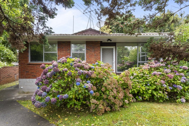 1/180 Green Lane West, Greenlane, Auckland - Carousel 1