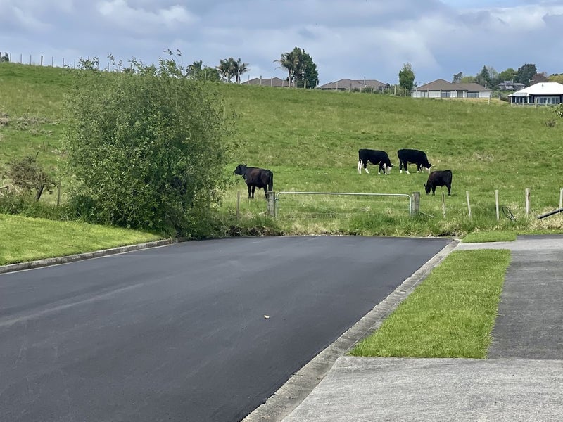 30 Kestrel Avenue, Welcome Bay, Tauranga - Carousel 41