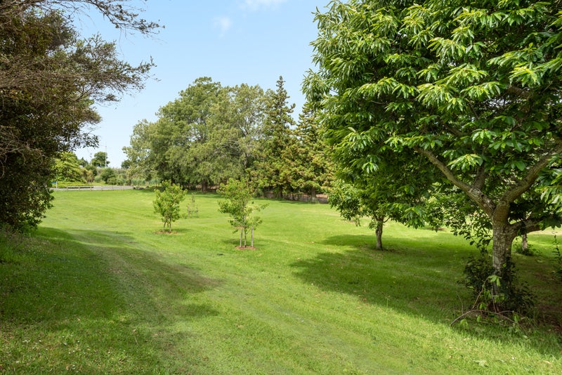 26 Tarata Street, Matua, Tauranga - Carousel 20