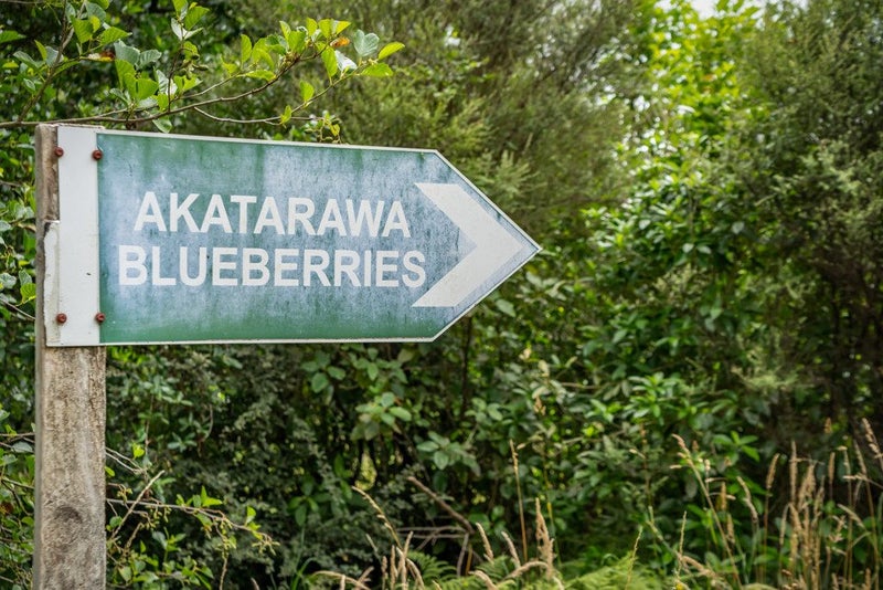 1229A Akatarawa Road, Akatarawa, Upper Hutt - Carousel 31