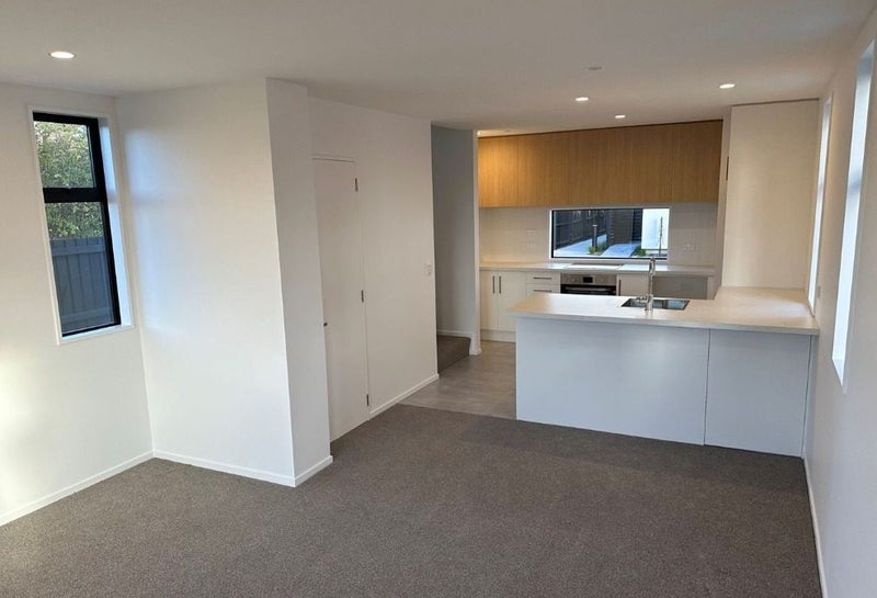 2/38 Wellington Street, Phillipstown, Christchurch - Carousel 2