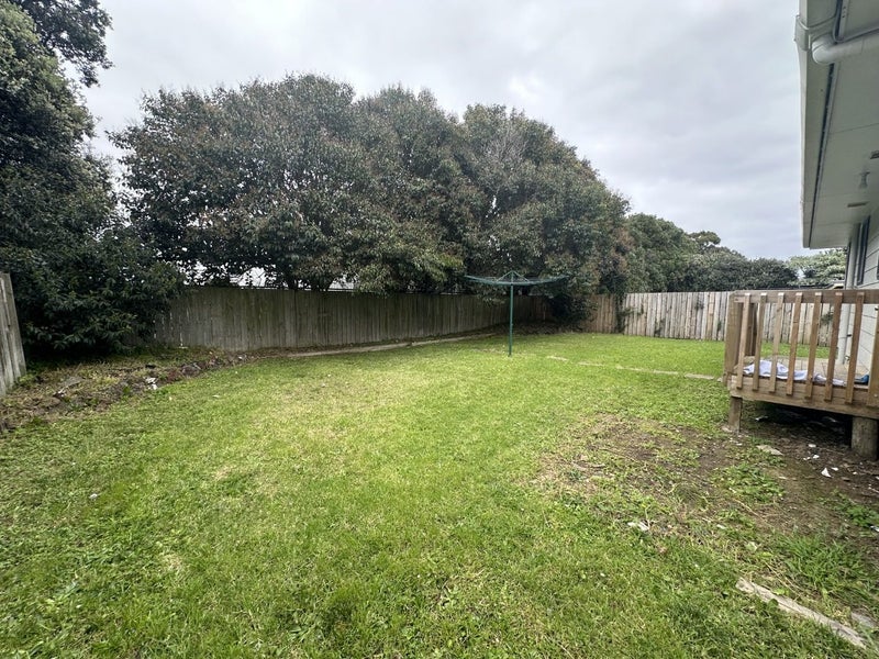 300 Puhinui Road, Papatoetoe, Auckland - Carousel 11