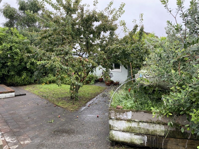 9 Kinross White Street, Napier South, Napier - Carousel 18