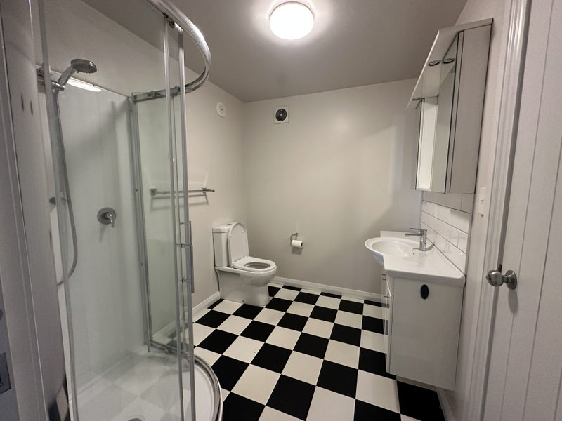 290 Willis Street, Aro Valley, Wellington - Carousel 22