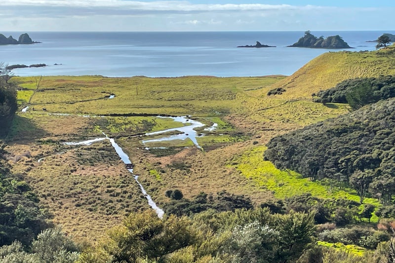 638 Whangaruru Road, WHANGARURU, RUSSELL - Carousel 1