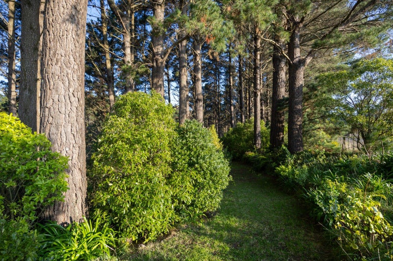 107 Ngahere Park Road, Turitea, Palmerston North - Carousel 29