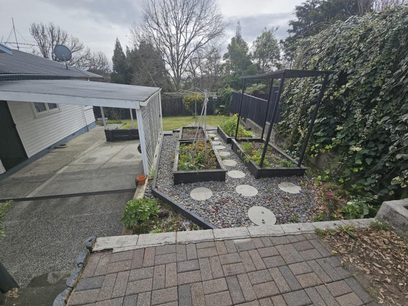 11 Edith Place, Dinsdale, Hamilton - Carousel 15