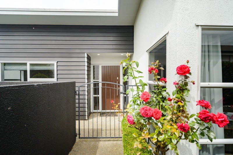 19 Karina Terrace, Roslyn, Palmerston North - Carousel 1