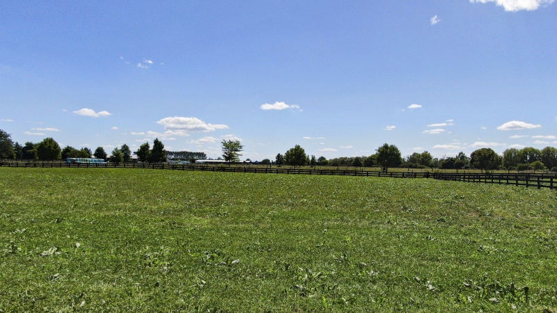 141 Bellevue Road, Matangi, Hamilton - Carousel 7