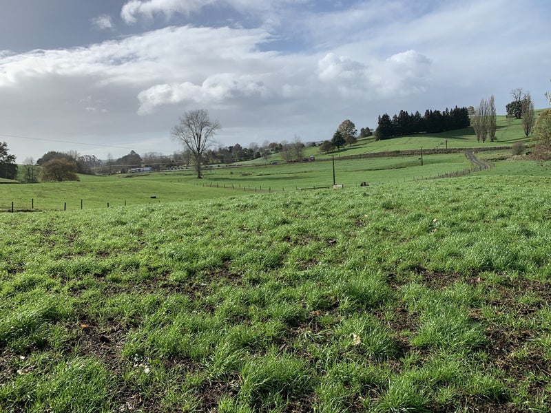 352 Otorohanga Road, Tokanui, Te Awamutu - Carousel 2