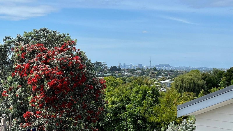 7 Lavery Place, Sunnynook, Auckland - Carousel 23