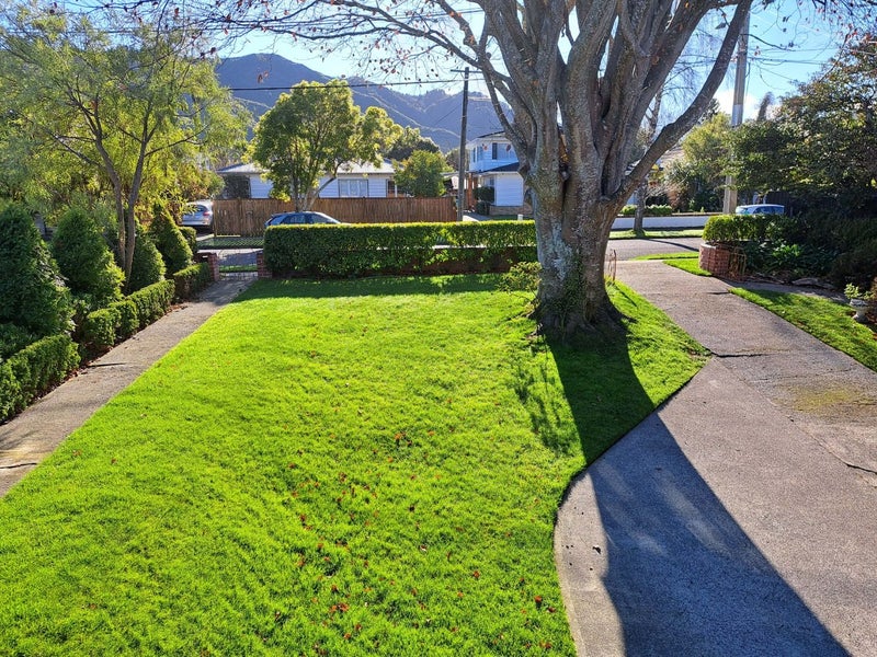 24 Hudson Avenue, Ebdentown, Upper Hutt - Carousel 12