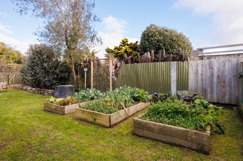 37 Epsom Road, Hokowhitu, Palmerston North - Carousel 16