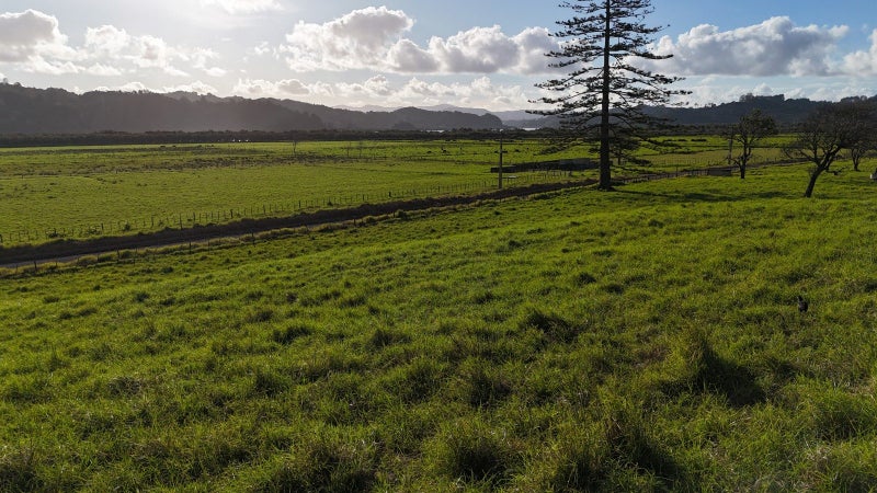 0 Motukiore, Horeke, Okaihau - Carousel 2