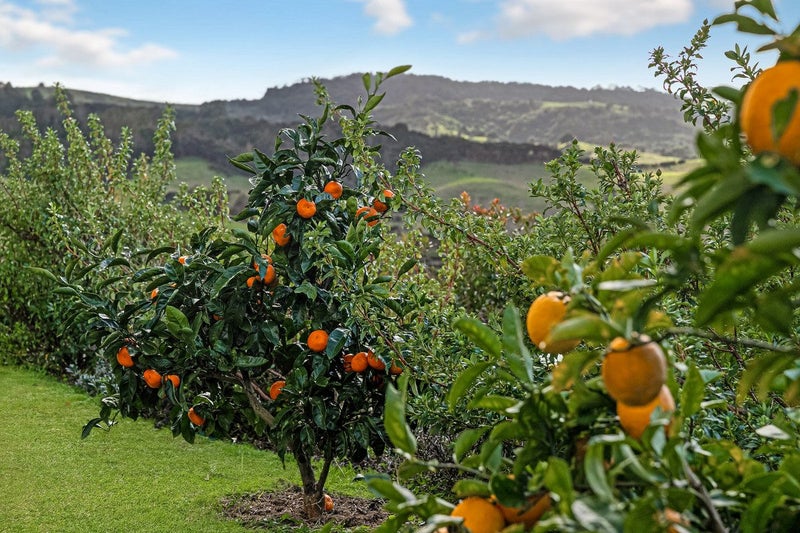 29 Beachwood Drive, Hatfields Beach, Orewa - Carousel 2