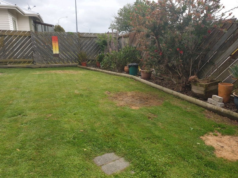 106 Ferguson Street, West End, Palmerston North - Carousel 8