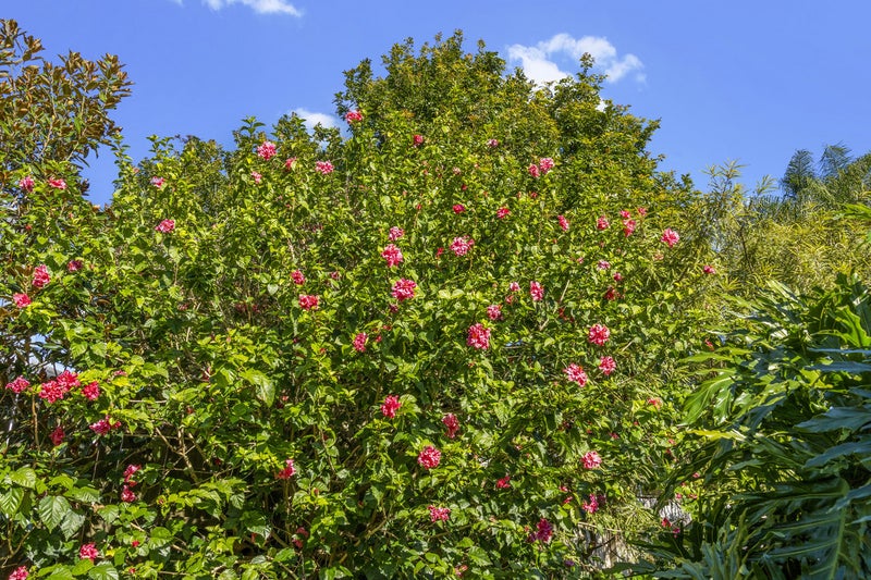 68 Archers Road, Glenfield, Auckland - Carousel 22