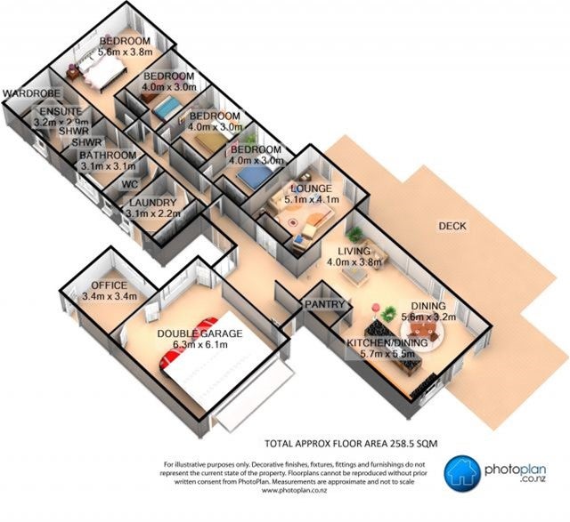 9 Bos Crescent, Flagstaff, Hamilton - Carousel 25