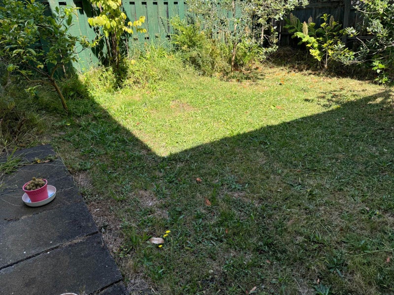 1/99 Kohimarama Road, Kohimarama, Auckland - Carousel 13