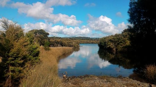 11 Ivy Lane, Mangawhai Heads, Mangawhai - Carousel 20