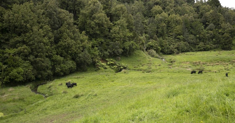 795 Matahuru Road, WAITERIMU - Carousel 17