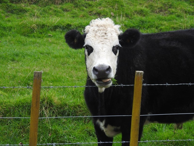 431 Tiniroto Road, Frasertown, Wairoa - Carousel 19