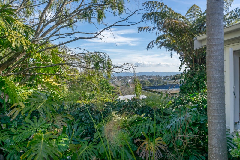 4 Evelyn Street, Eden Terrace, Auckland - Carousel 20
