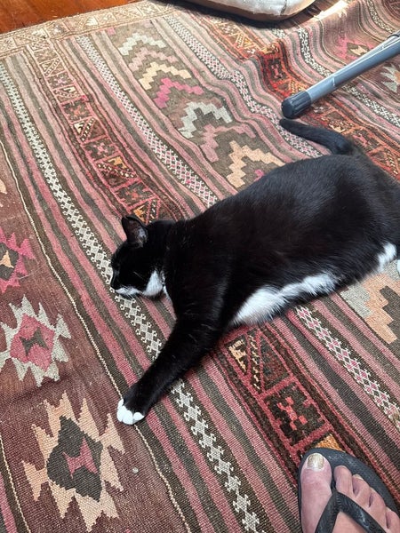 76 Russell Terrace, Berhampore, Wellington - Carousel 1