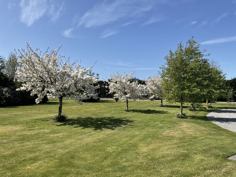 2501 Tram Road, Rangiora - Carousel 49