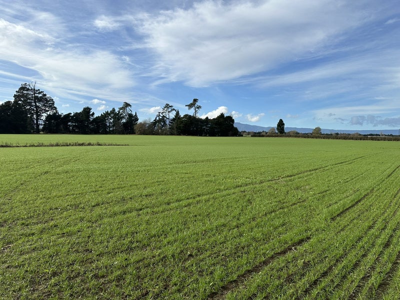 314 Campbell Road, Walton - Carousel 1