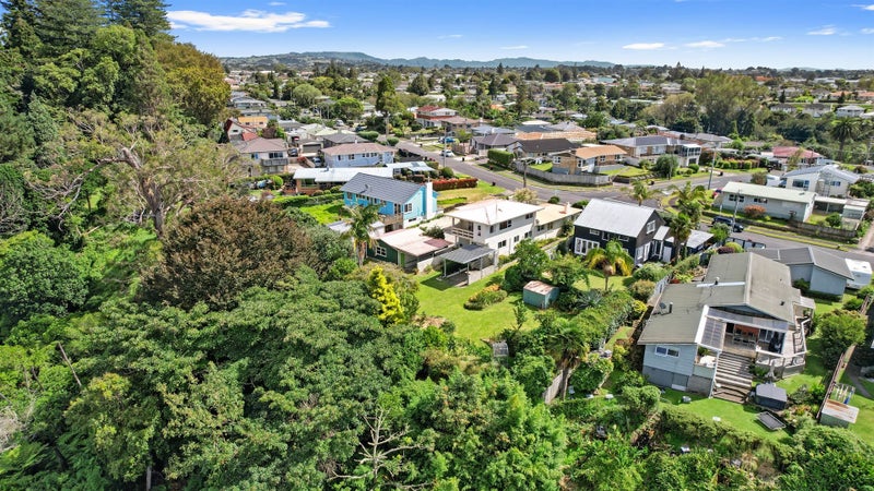 62 Harrier Street, Parkvale, Tauranga - Carousel 21