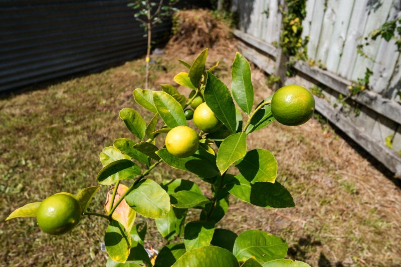 20 Newton Place, Westbrook, Palmerston North - Carousel 14