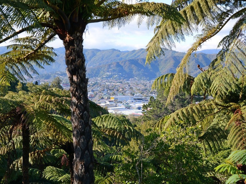 2 Viewmont Drive, Harbour View, Lower Hutt - Carousel 16