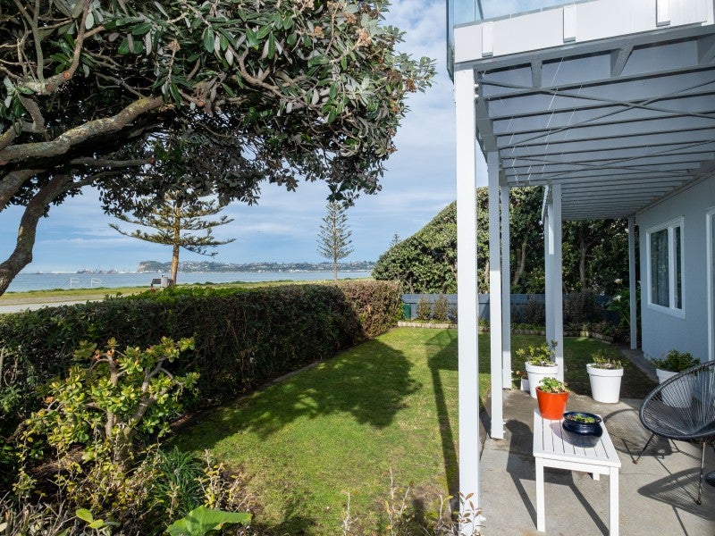 86 The Esplanade, Westshore, Napier - Carousel 19