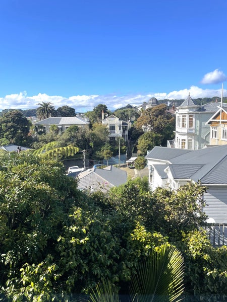 313 Adelaide Road, Newtown, Wellington - Carousel 14