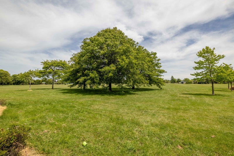 53 Waratah Street, Avondale, Christchurch - Carousel 17