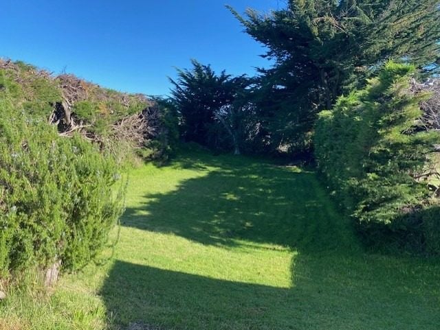 14 Ruanui Street, Himatangi Beach, Himatangi Beach - Carousel 9