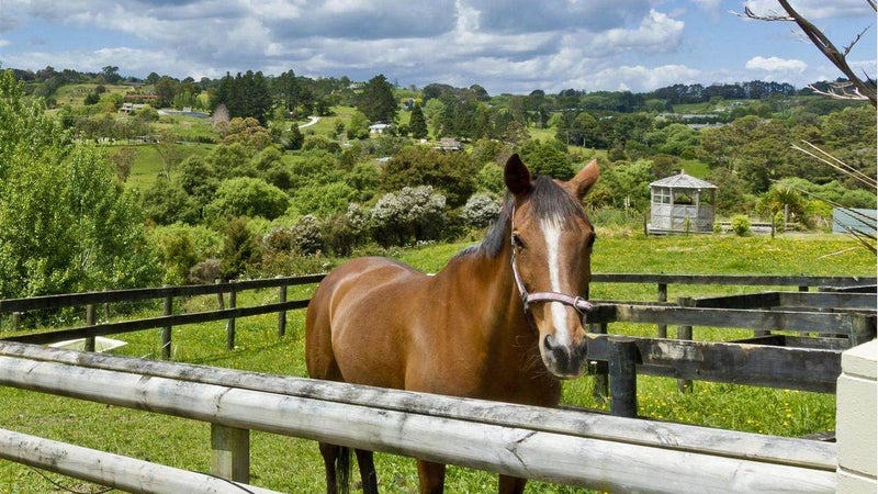 35 Mill Flat Road, Albany - Carousel 1