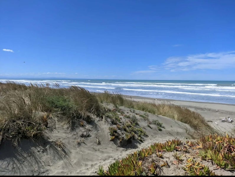 209A Rocking Horse Road, Southshore, Christchurch - Carousel 21