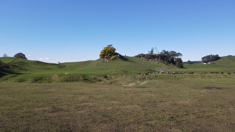 0 Waotu Road, Waotu, Putaruru - Carousel 2