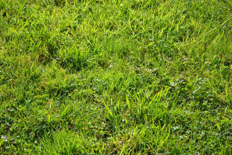 23 Houhora Street, Westgate, Auckland - Carousel 2