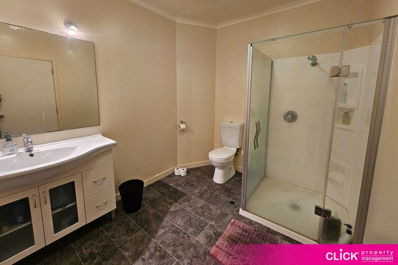 20B Manse Street, Dunedin Central, Dunedin - Carousel 8