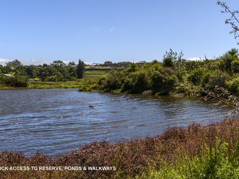 113 Solomon Street, Brookfield, Tauranga - Carousel 16