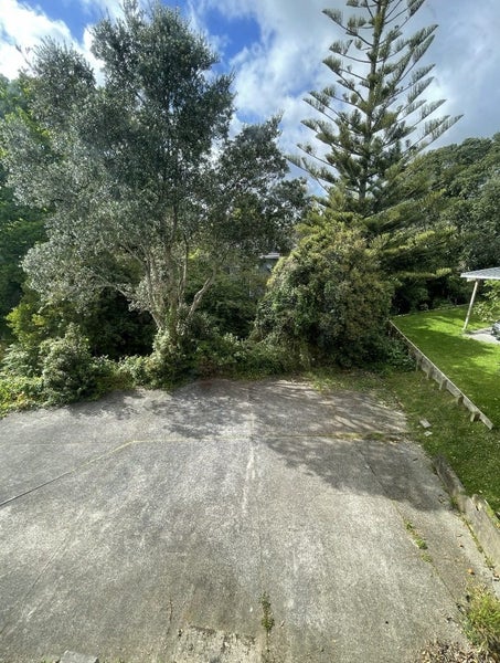 54 Fruitvale Road, New Lynn, Auckland - Carousel 10