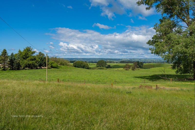 325 Springs Road, Mihi - Carousel 21